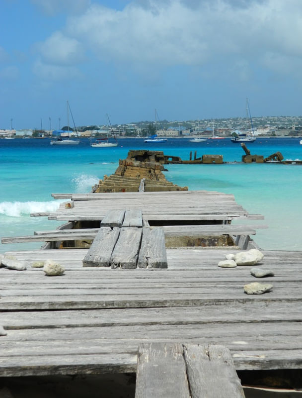 BARBADOS SELVAGEM