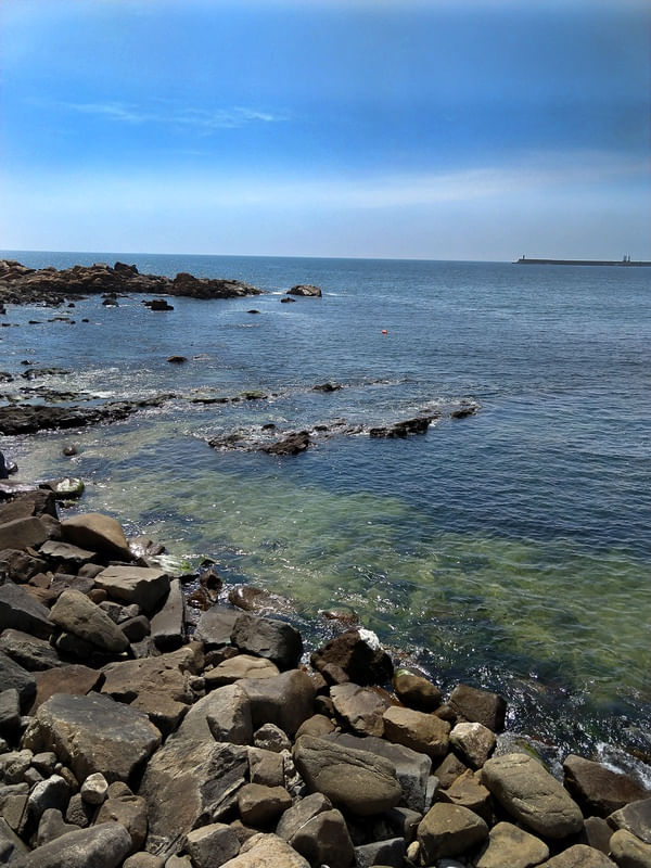 PRAIA CALMA