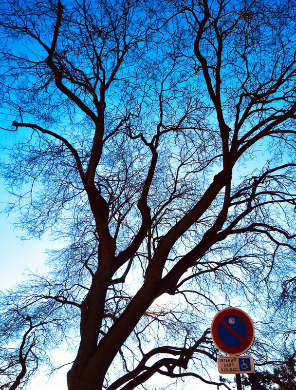 SACRE COEUR PARK