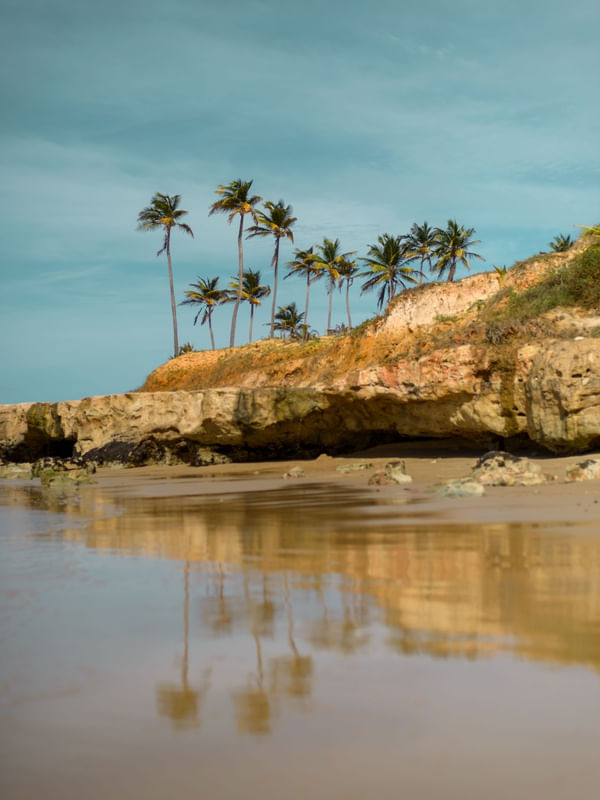 REFLEXOS EM LAGOINHA