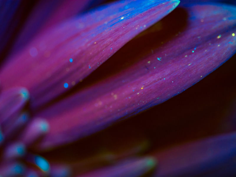 UV LIGHT SERIES DETAIL