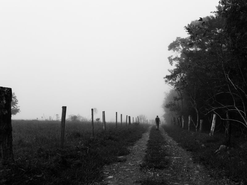 CAMINHANTE SOLITARIO