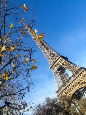 PRIMAVERA PARISIENSE