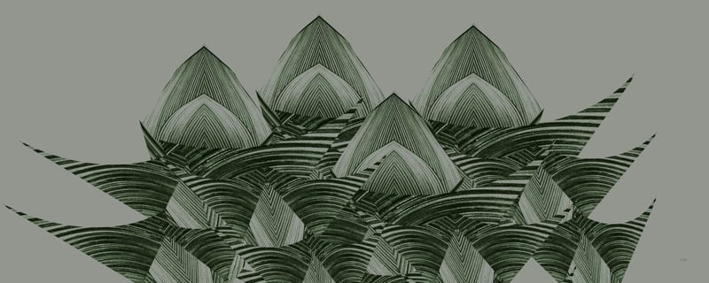 ABSTRACT-PLANTS 0604