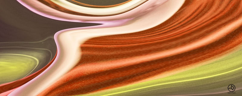 SPACE ORANGE