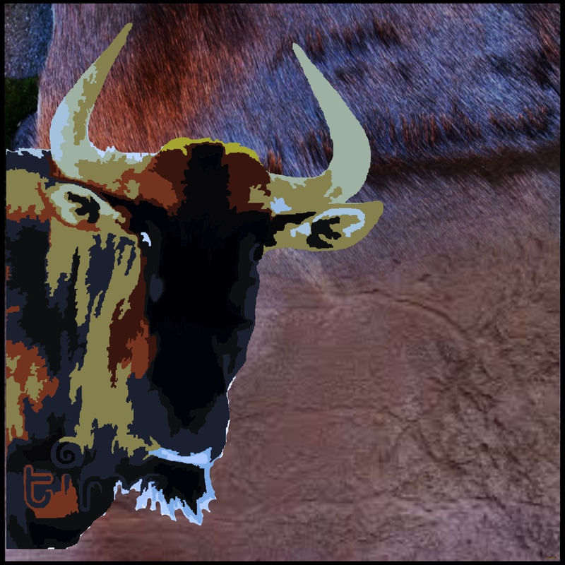 BORELLI 5423