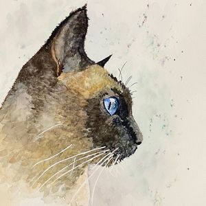 CATTITUDE