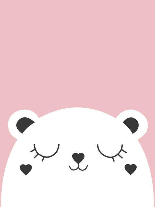 CARINHA DE URSO 1