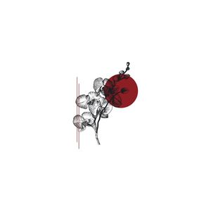 TERIHA-6