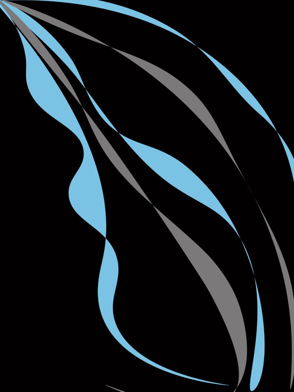 BLACK AND BLUE GRAY