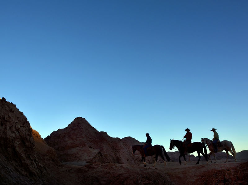 ATACAMA 1