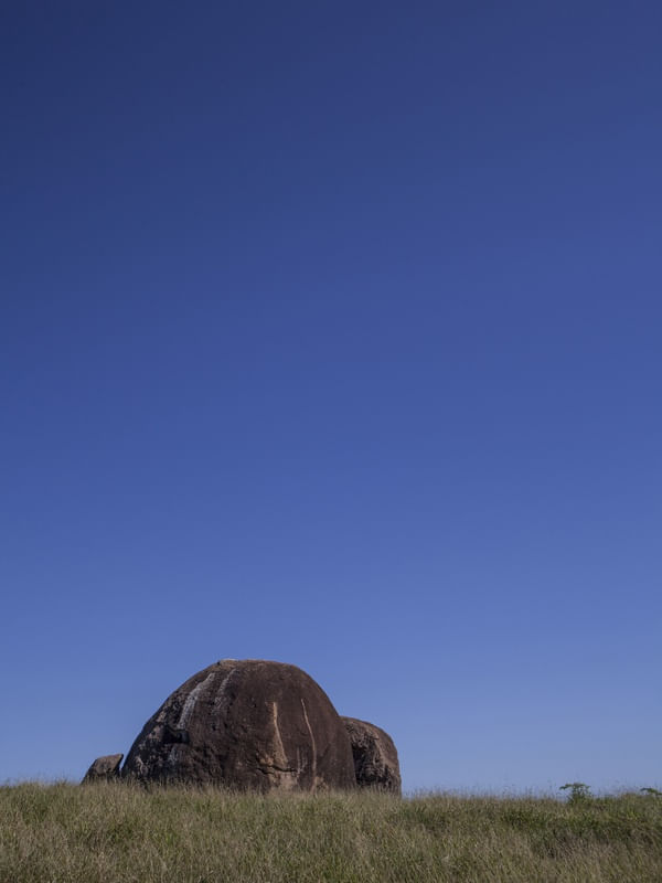 MOAI 1