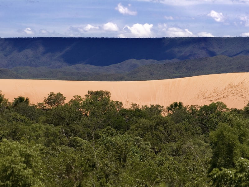 DUNAS ONE