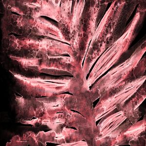PARADISE PALM, SPECTRAL PINK INVERTED