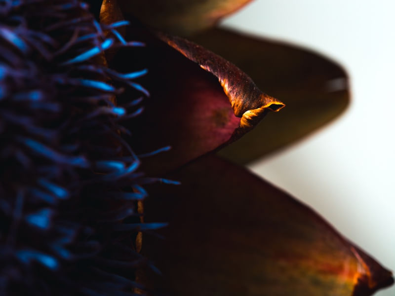 UV LIGHT SERIES (DETALHES) (4)