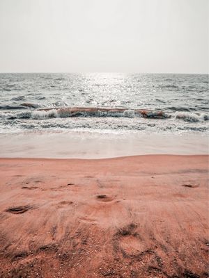 MANHÃ DE VERÃO