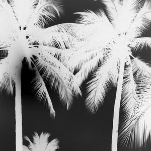 PALM BEACH SQUARE