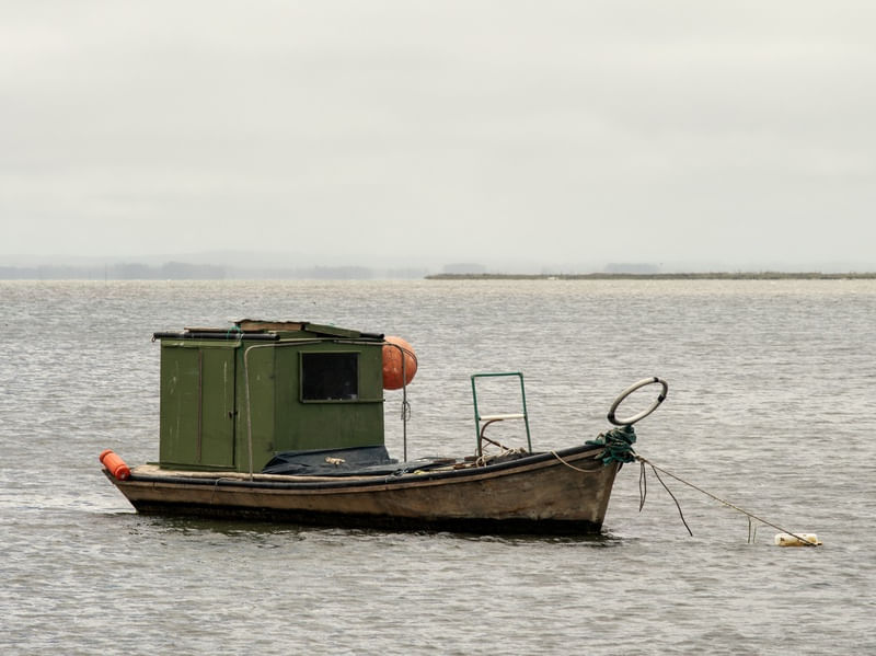 O VELHO PESCADOR ANCORADO