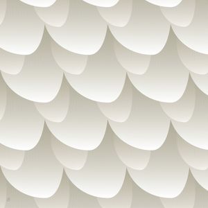 ESCAMAS-1Q