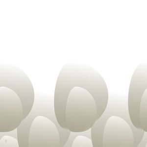 ESCAMAS-15Q
