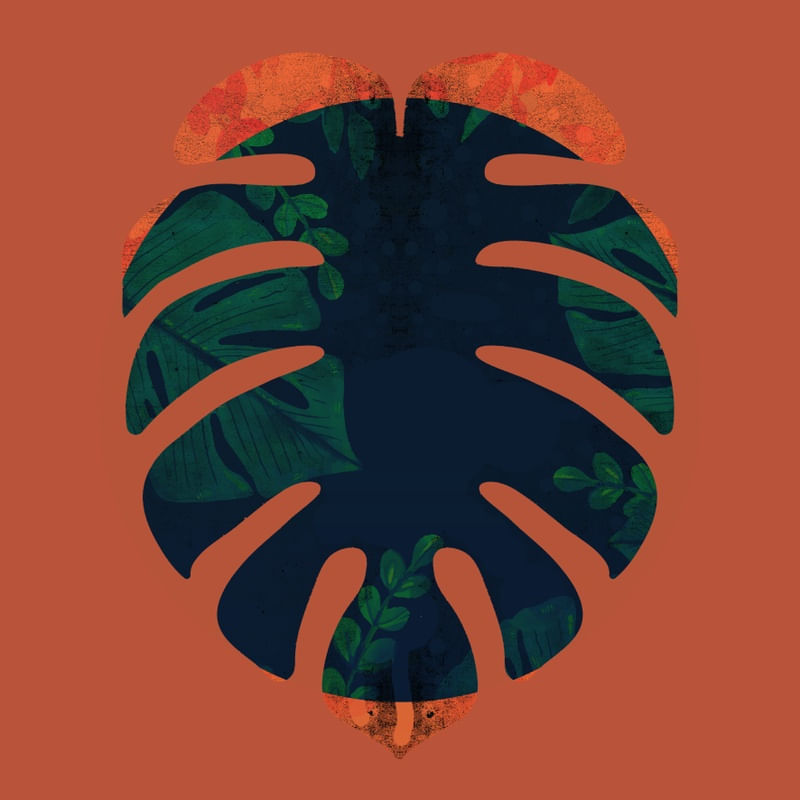 MONSTERA GOLD 040 A SQ