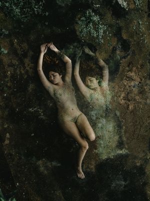 TRANSCENDÊNCIAS