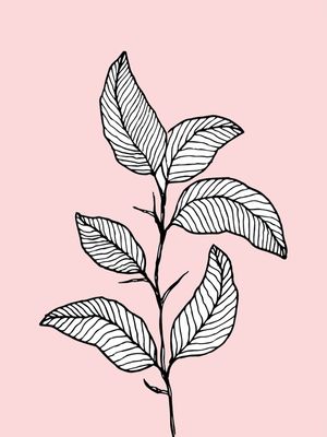 ARTE DESENHO FLORAL 1
