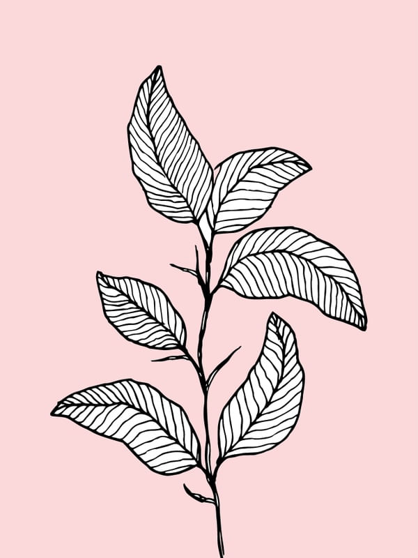 ARTE DESENHO FLORAL 1