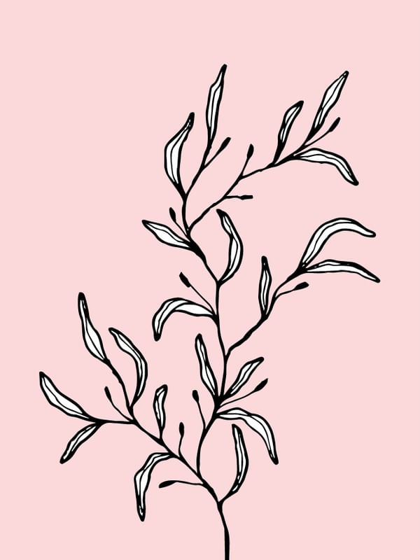 ARTE DESENHO FLORAL 3