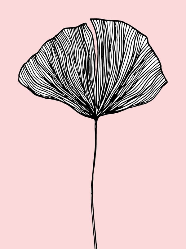 ARTE DESENHO FLORAL 4