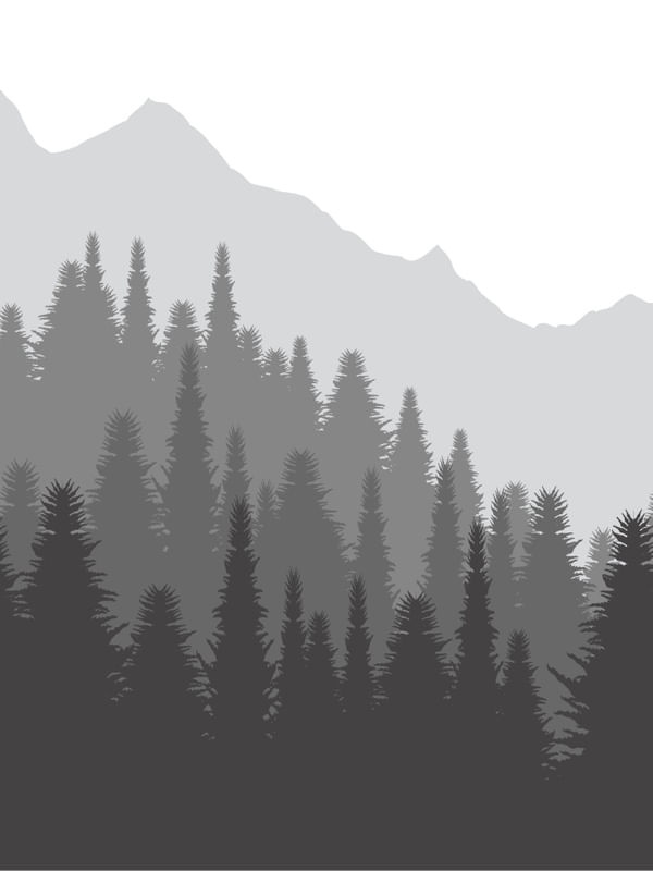 ARTE FLORESTA MINIMALISTA 1