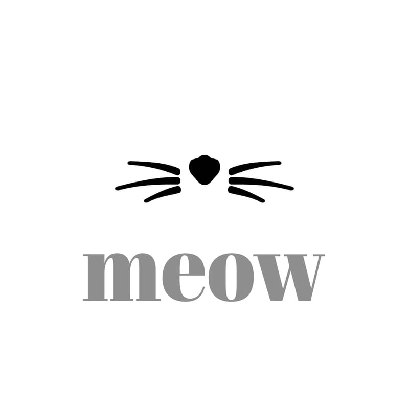 ARTE GATINHO MEOW