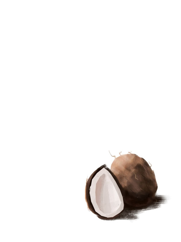 OIL COCONUT