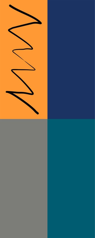 NEWGEO 7 - DV