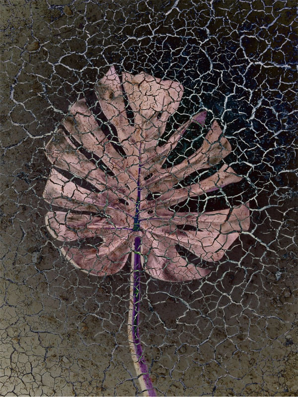 PETRIFICADA 2 - DV