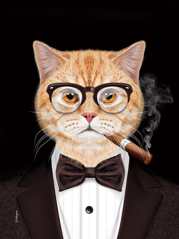 MISTER CAT - ANIMAL SOCIETY