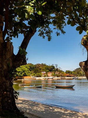 ÁRVORES E BARCOS