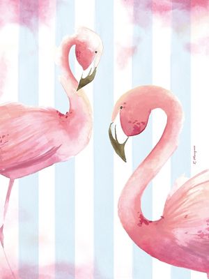 FLAMINGO PINK AND BLUE