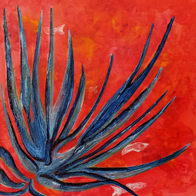 AQUÁRIO CORAL