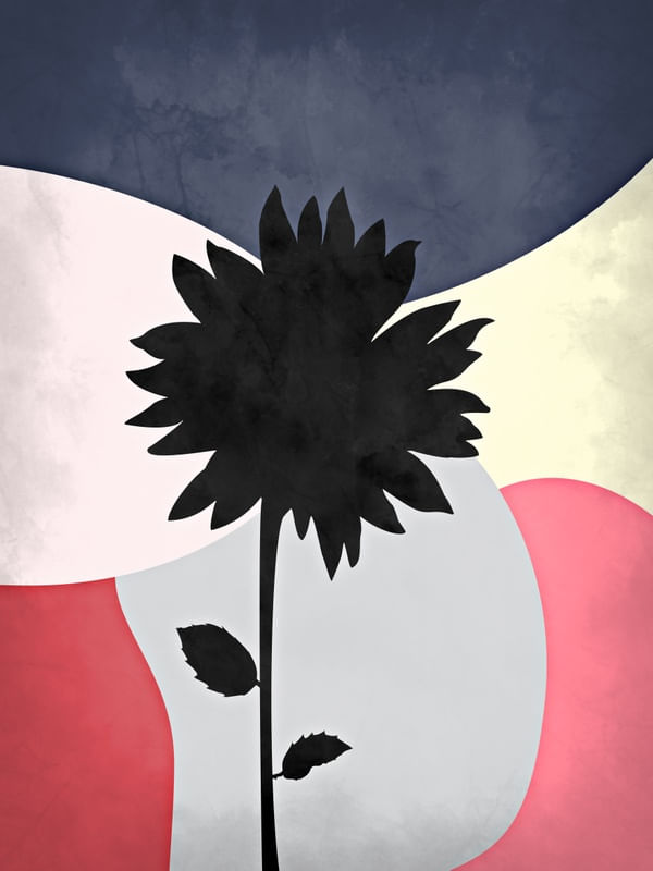 FLOR ORGÂNICA I