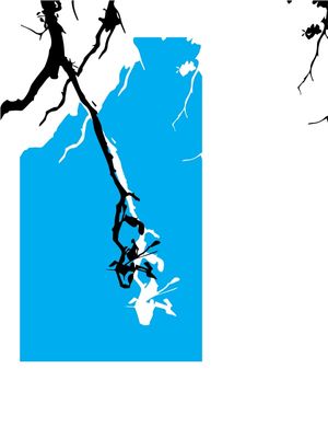 LOOK UP BLUE SKY