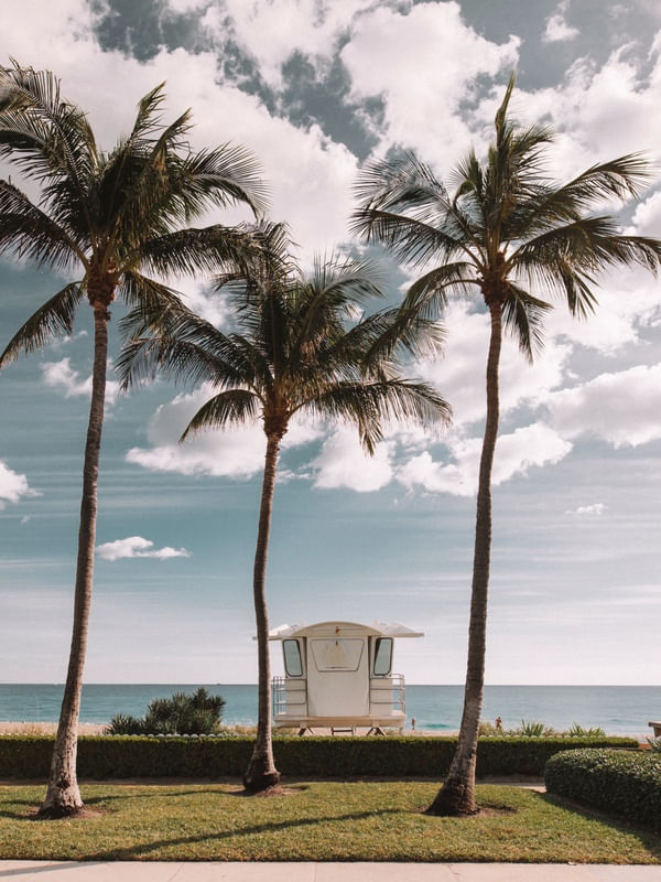 BEACH PALM BEACH