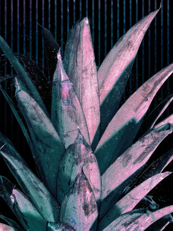 PINAPPLE LEAVES GORGEOUS