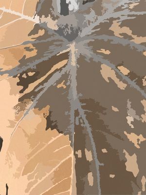 NATUREZA 3 - DV