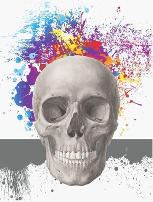 COLOR SKUL