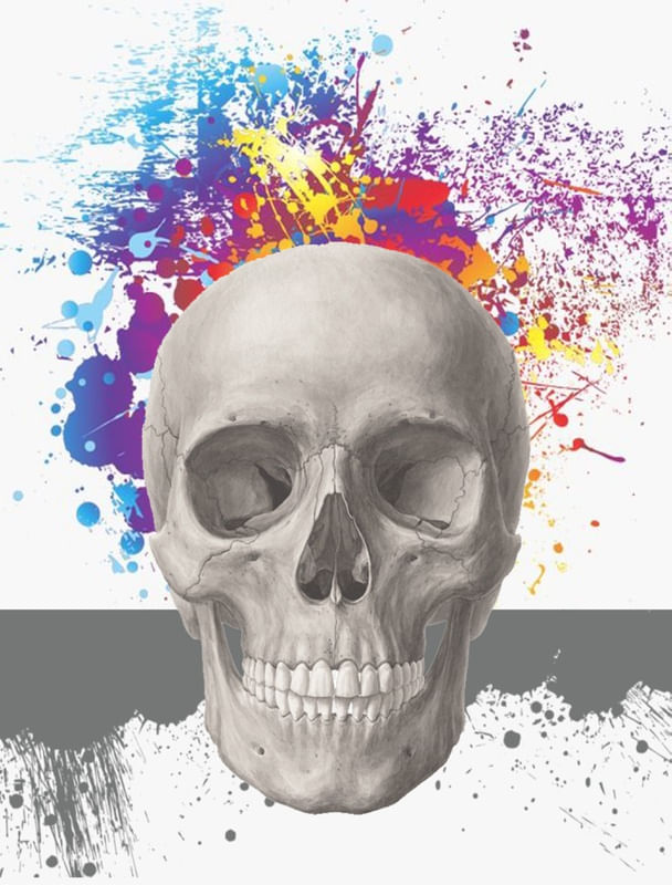 COLOR SKUL