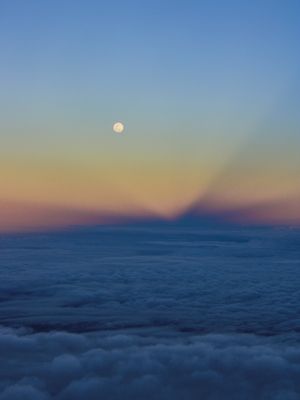 INTO THE SKY