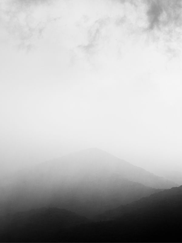 MINIMALIST NATURE
