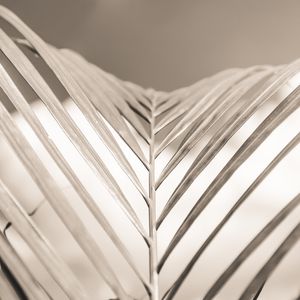 FOLHA SEPIA_EM