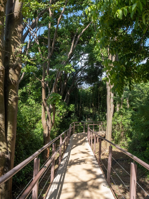 CAMINHOS EM NORONHA